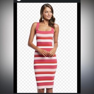 Bardot Red and Pink Bodycon Midi Dress